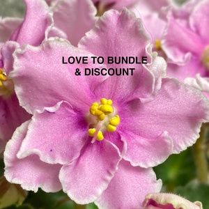 LOVE TO BUNDLE & DISCOUNT for you....